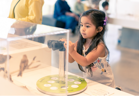 girl looking at binoculars in science fair